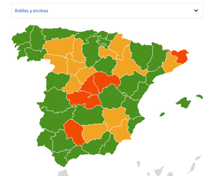 Alergia por robles y encinas en España en esta semana, según eltiempo.es