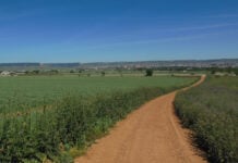 Camino rural en los alrededores de Cabanillas del Campo.
