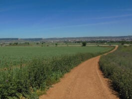 Camino rural en los alrededores de Cabanillas del Campo.