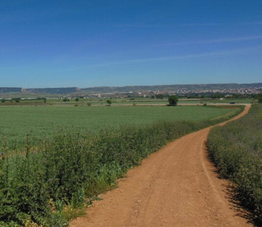 Camino rural en los alrededores de Cabanillas del Campo.