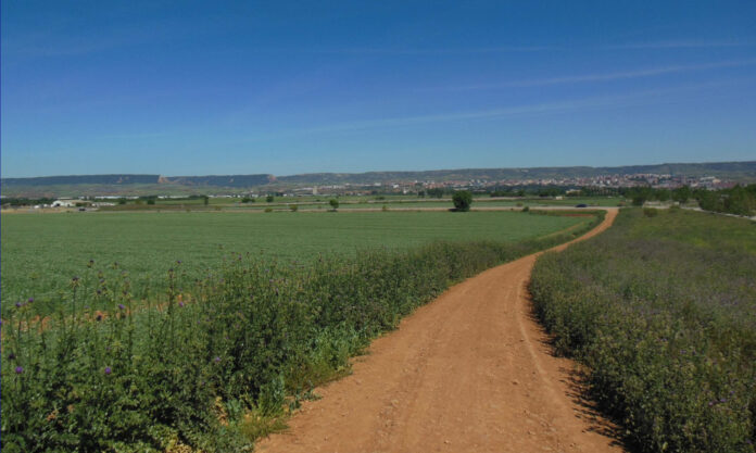 Camino rural en los alrededores de Cabanillas del Campo.