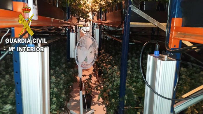 Interior del chalet de Sotolargo donde se han iontervenido casi un millar de plantas de marihuana. (Foto: Guardia Civil)