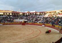 Tendidos del coso de Las Cruces durante una de las corridas de toros de la feria de 2016. (Foto: La Crónic@)