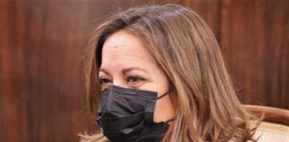 Olga Villanueva durante el pleno de este viernes en la Diputación de Guadalajara.