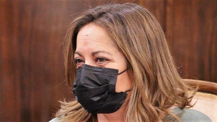 Olga Villanueva durante el pleno de este viernes en la Diputación de Guadalajara.