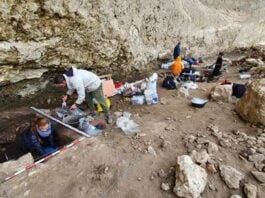 Trabajos en Peña Capón, un abrigo usado por los Homo Sapiens hace 26.000 años entre Muriel y Tamajón.