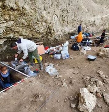 Hace más de 20.000 años había ya algo parecido al comercio entre lo que hoy es Guadalajara y Francia Trabajos en Peña Capón, un abrigo usado por los Homo Sapiens hace 26.000 años entre Muriel y Tamajón.
