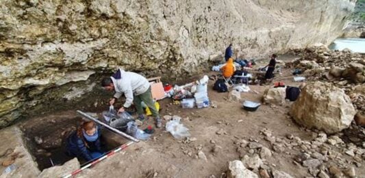 Trabajos en Peña Capón, un abrigo usado por los Homo Sapiens hace 26.000 años entre Muriel y Tamajón.