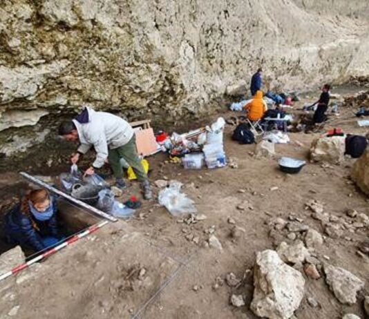 Trabajos en Peña Capón, un abrigo usado por los Homo Sapiens hace 26.000 años entre Muriel y Tamajón.
