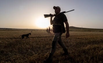 Se amplía el período de caza para intentar controlar a jabalíes y ciervos