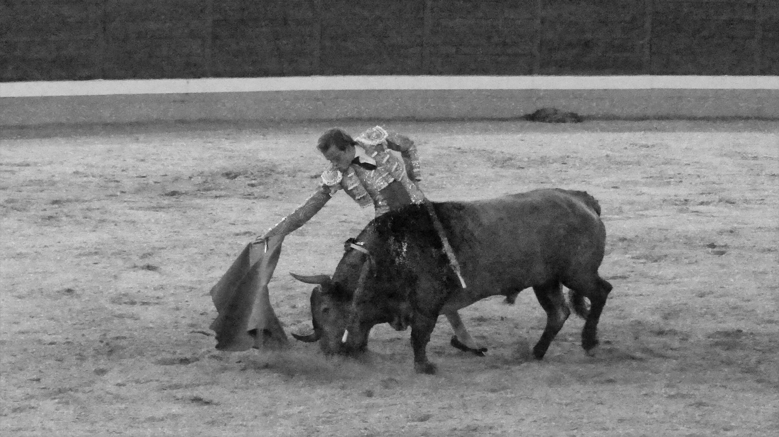 Parece un grabado antiguo pero es Javier Cortés en Alcalá, el 28 de agosto de 2021, toreando un vitorino, la muleta bien baja y el hocico del toro haciendo surcos en la arena. (Foto: La Crónic@)