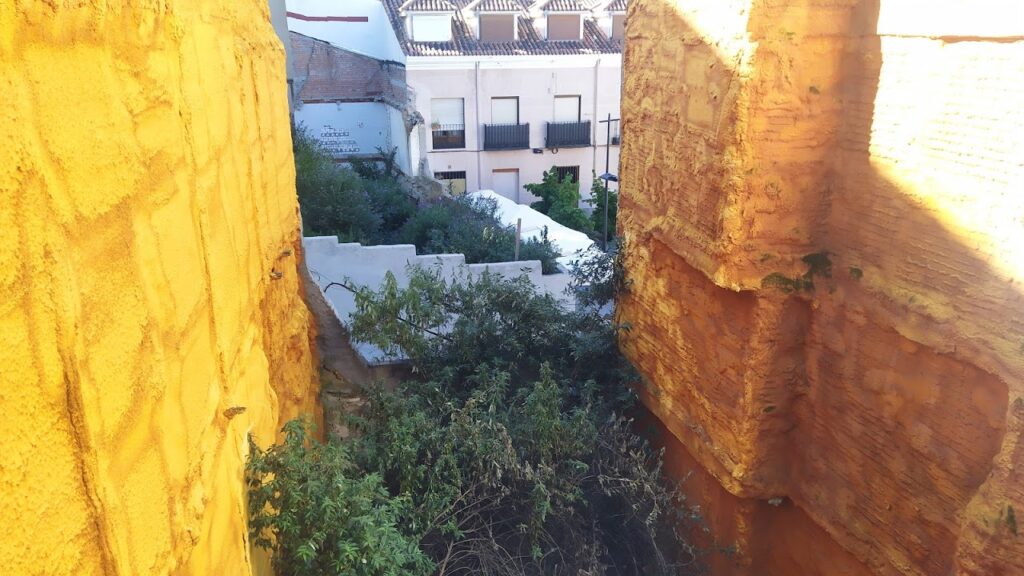 Solares llenos de vegetación, en el centro de Guadalajara. (Foto: La Crónic@)