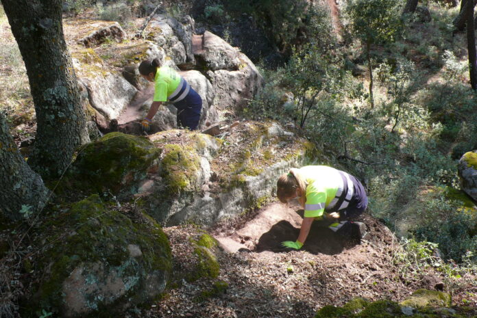 Uno de los tramos del acueducto de Sigüenza que se han limpiado en el pinar.