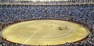 Aspecto de la plaza de toros de Las Ventas el pasado 2 de octubre de 2021. Los tendidos se llenaron todo lo autorizado por las normas antiCovid de la Comunidad de Madrid. (Foto: La Crónic@)