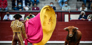 Rubén Núñez se trae a Guadalajara su sueño: triunfador en Las Ventas Rubén Núñez sorprendió por muchos motivos este 9 de octubre de 2021 en Las Ventas. (Foto: Plaza1)