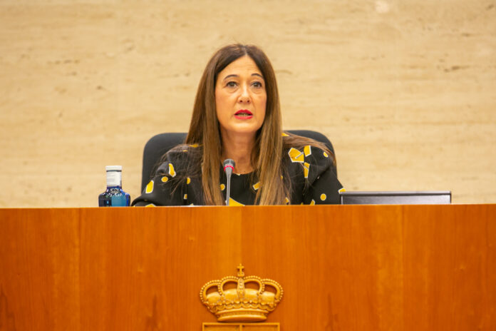 Pilar Callado, durante su comparecencia en las Cortes de Castilla-La Mancha el 9 de noviembre de 2021.