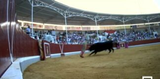 Las corridas de toros son muy frecuentes en la programación de CMM, la televisión pública de Castilla-La Mancha.