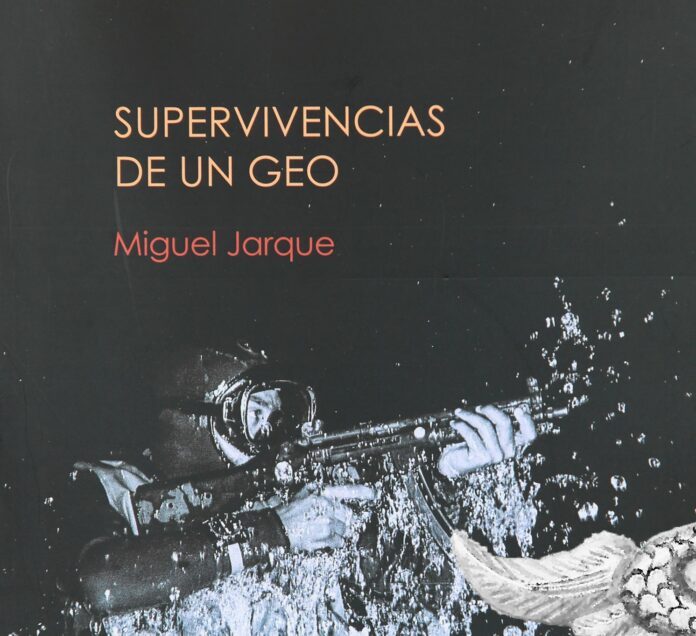 Portada del libro de Jarque.