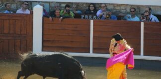 Morante en Brihuega, con 11 años menos y ante uno de los toros, tan menguados, propios de hace una década. (Foto: Álvaro García / La Crónic@)