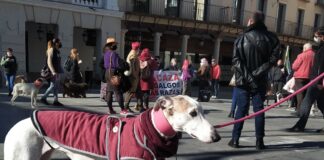 Manifestación contra la caza y el uso de perros para esa actividad, en Guadalajara el 6 de febrero de 2021. (Foto: La Crónic@)