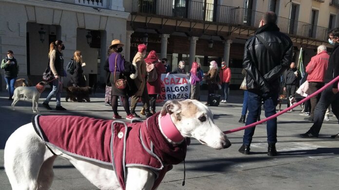 Manifestación contra la caza y el uso de perros para esa actividad, en Guadalajara el 6 de febrero de 2021. (Foto: La Crónic@)