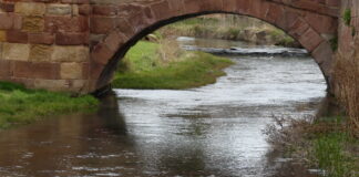 El río Gallo bajo el puente románico de Molina de Aragón. (Foto: La Crónic@)