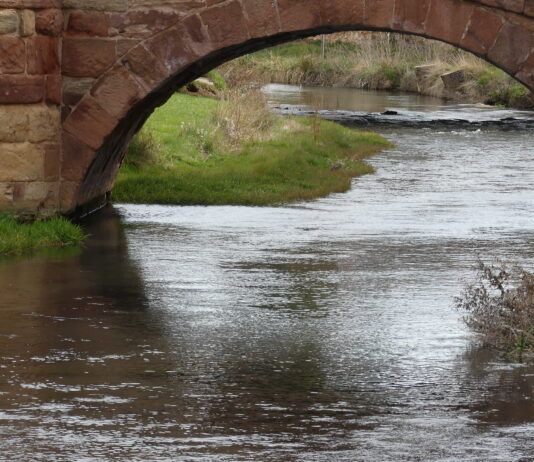 El río Gallo bajo el puente románico de Molina de Aragón. (Foto: La Crónic@)