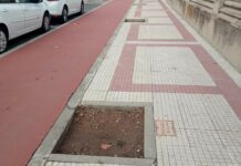 La denuncia de los alcorques vacíos con imágenes como esta es motivo recurrente para la críticas en las redes sociales. (Foto: Fernando Rodríguez / Twitter)