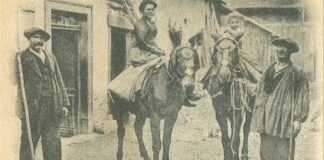 Muleteros y machos, en una imagen tomada en Maranchón. (Foto: Asociación Cultural La Migaña)