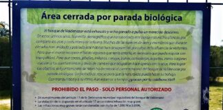 Prohibidas las visitas al bosque de Valdenazar, en Yebes, hasta que se recupere