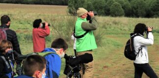 20 ocasiones para descubrir en familia el medio ambiente de Guadalajara Jornada de educación ambiental promovida por la Junta de Castilla-La Mancha durante la pand