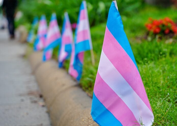 Banderas trans, durante un acto reivindicativo en Estados Unidos.