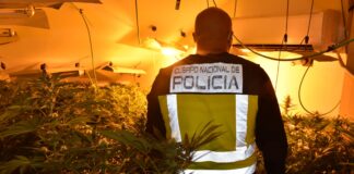 Operación de la Policía Nacional contra el cultivo de marihuana, en una imagen de archivo.