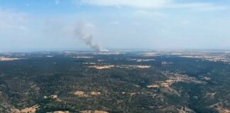 Al fondo, el incendio forestal de Budia, el 5 de julio de 2022. (Foto: Infocam)