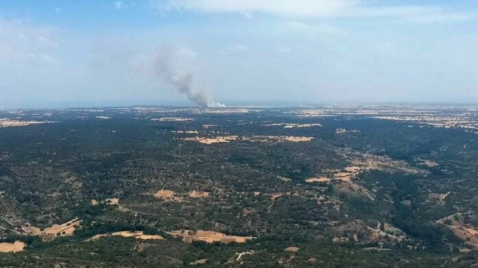 Al fondo, el incendio forestal de Budia, el 5 de julio de 2022. (Foto: Infocam)
