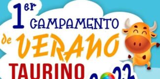 Cartel del campamento de verano taurino de Arbancón.