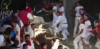 En el encierro del 10 de julio de 2022 en los sanfermines, donde ha sido alcanzado un marchamalero, se han corrido toros de La Palmosilla. (Foto: Eduardo Sanz / EP)