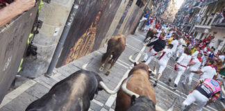 Los toros de Cebada Gago han provocado momentos de auténtico escalofrío en el encierro de este lunes en los sanfermines. (Foto: Eduardo Sanz / EP)