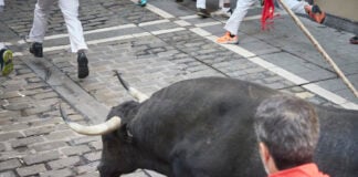 Un conocido corredor alcarreño en el complicado encierro de este lunes en Pamplona, con toros de Cebada Gago. (Foto: Eduardo Sanz / EP)