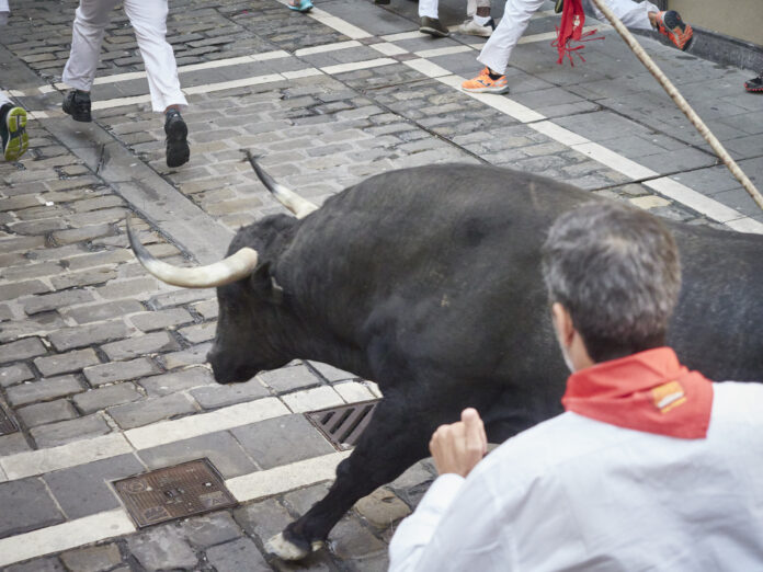 Un conocido corredor alcarreño en el complicado encierro de este lunes en Pamplona, con toros de Cebada Gago. (Foto: Eduardo Sanz / EP)