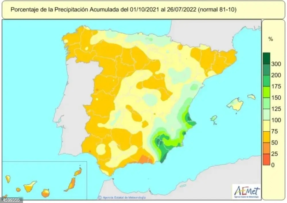 Déficit de lluvias en Guadalajara hasta julio de 2022. (Fuente: AEMET)