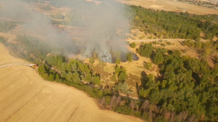 Foco del incendio atribuido en Fuente el Saz del Jarama a la caída de un dron, el 8 de julio de 2022. (Foto: 112 Madrid)