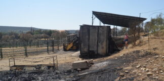 Una explotación ganadera, arrasada por el incendio de Valdepeñas de la Sierra.