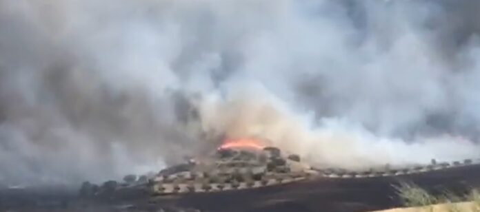 El incendio de Chiloeches, sobre una zona de olivar, en la tarde del 19 de julio de 2022.