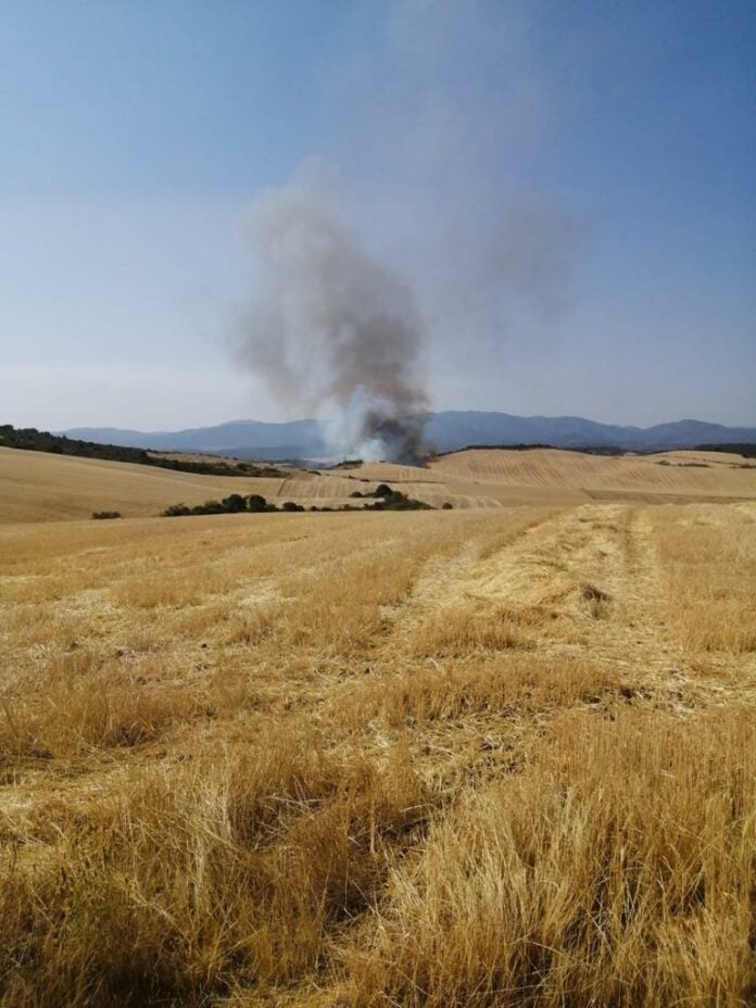 incendio forestal rastrojos