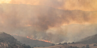 Vista general del incendio de Valdepeñas de la Sierra el 19 de julio de 2022. (Foto: Rafa Martín / EP)