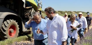 Núñez y Zoido en los campos de lavanda de Almadrones el 8 de julio de 2022.