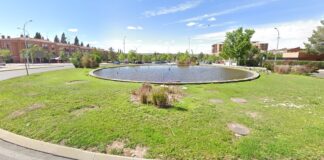 Los patos serán llevados desde esta pequeña fuente hasta el río Tajo, en la confianza de que se adapten a su nuevo hogar.