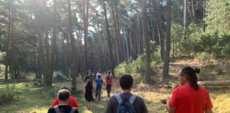 Rutas guiadas gratis este domingo por dos montes de Guadalajara