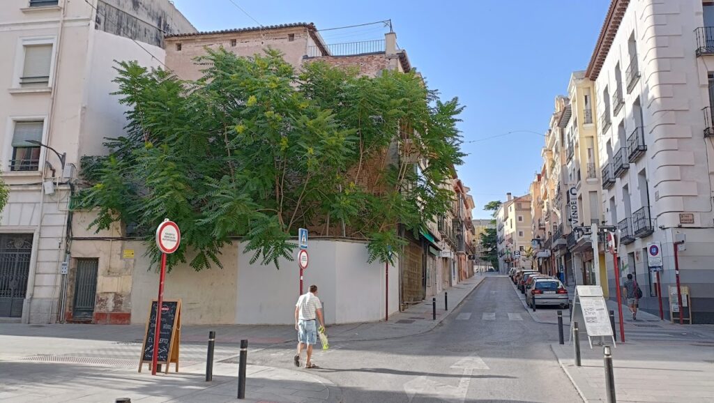 El solar del antiguo Bar Soria, lleno de vegetación, en julio de 2022. (Foto: La Crónic@)